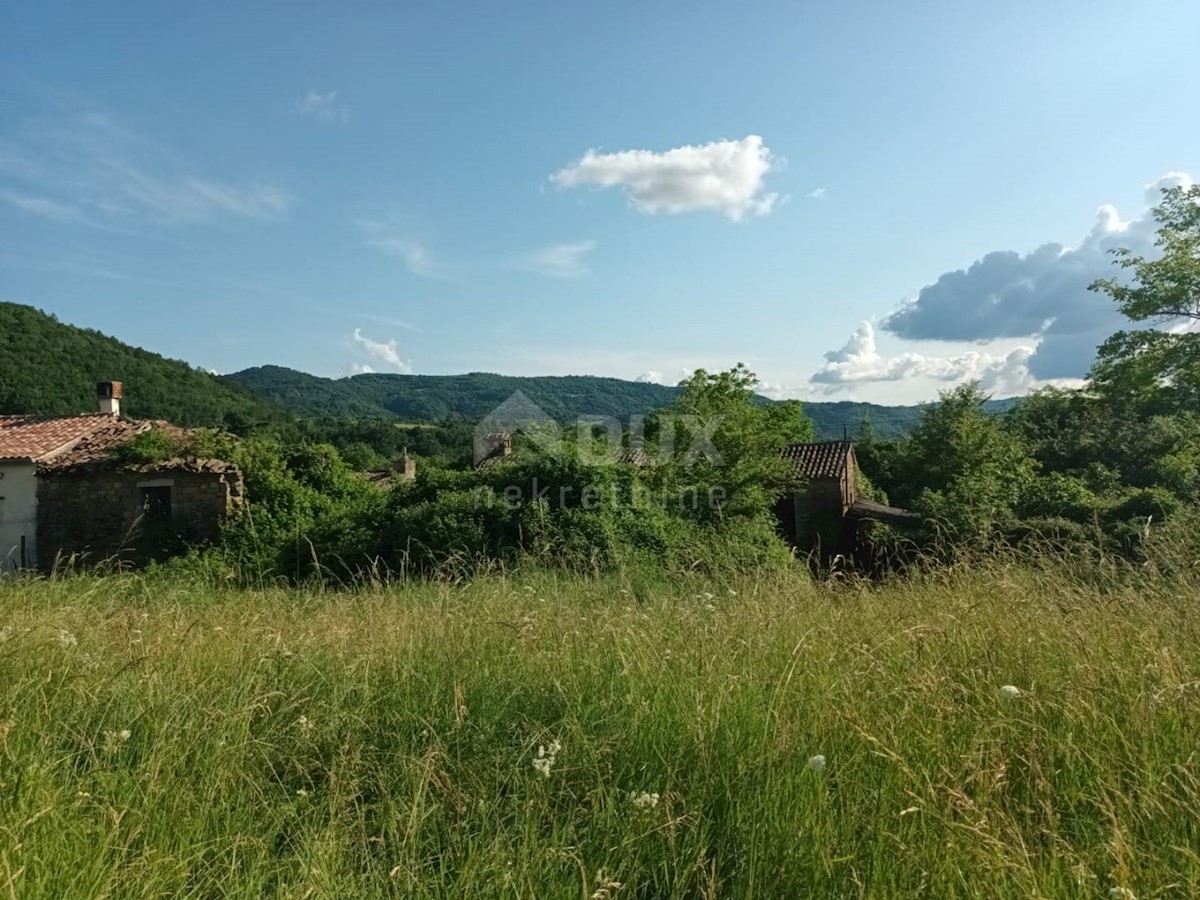 ISTRIA, BUZET - Casa in pietra in rovina nel cuore della natura