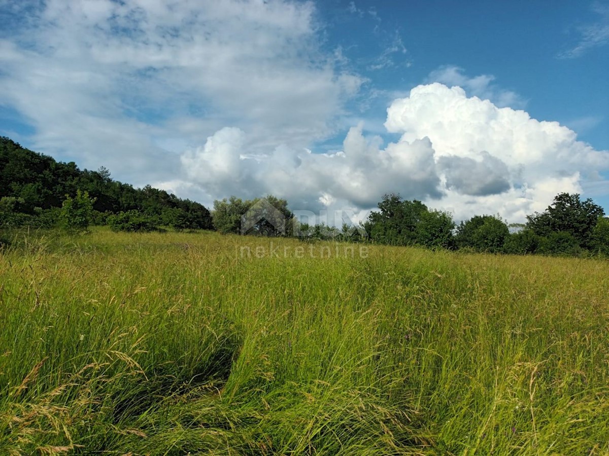 ISTRIA, BUZET - Casa in pietra in rovina nel cuore della natura