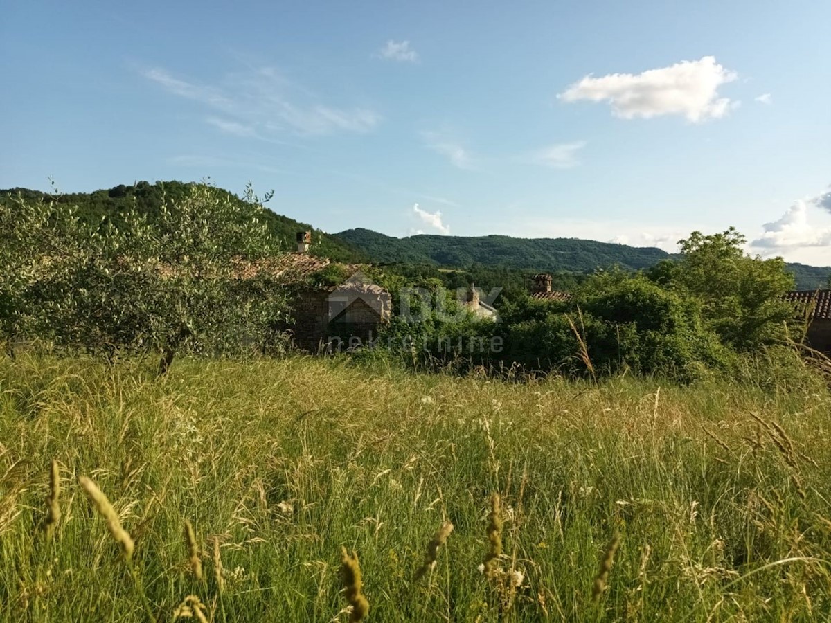ISTRIA, BUZET - Casa in pietra in rovina nel cuore della natura