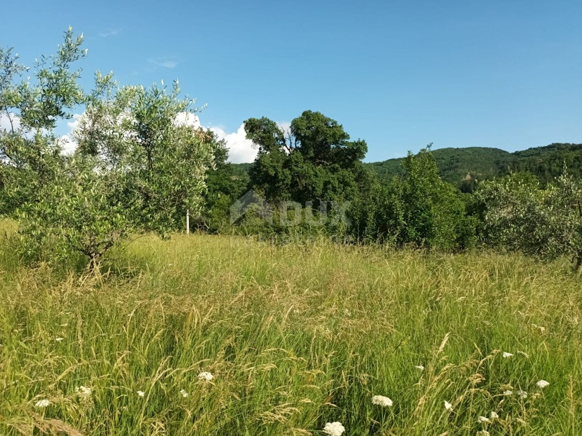 ISTRIA, BUZET - Casa in pietra in rovina nel cuore della natura