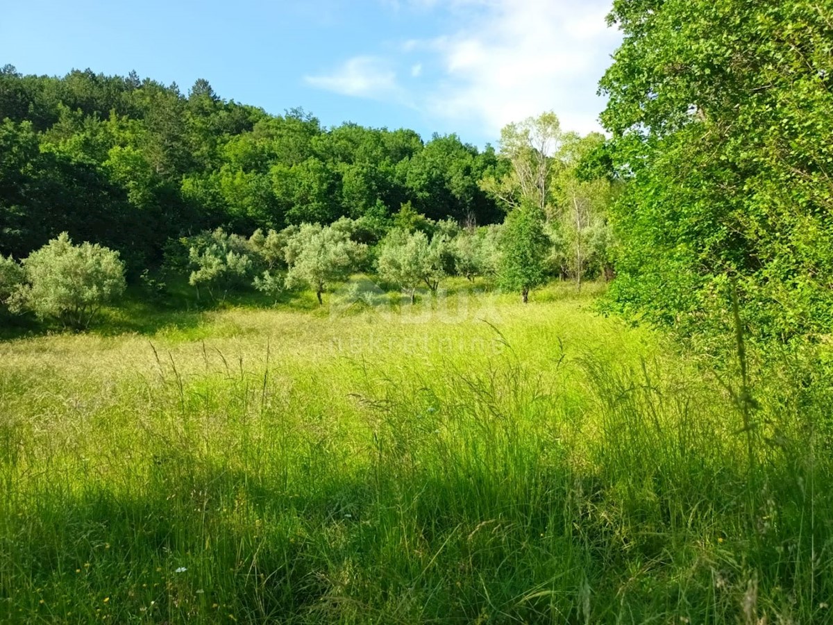 ISTRIA, BUZET - Complesso di case in pietra immerse nella natura