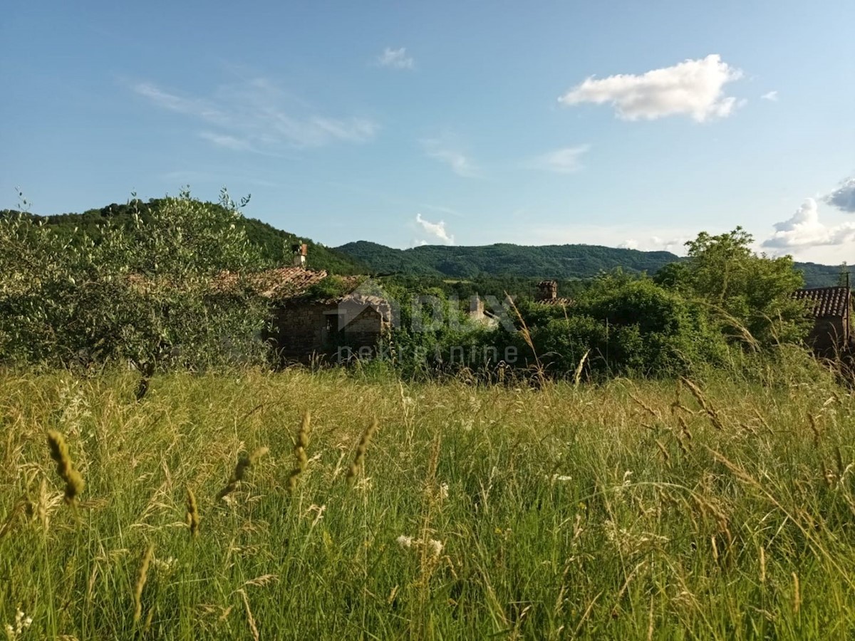 ISTRIA, BUZET - Complesso di case in pietra immerse nella natura