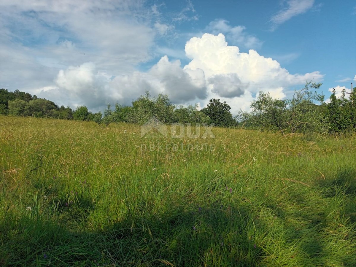 ISTRIA, BUZET - Complesso di case in pietra immerse nella natura