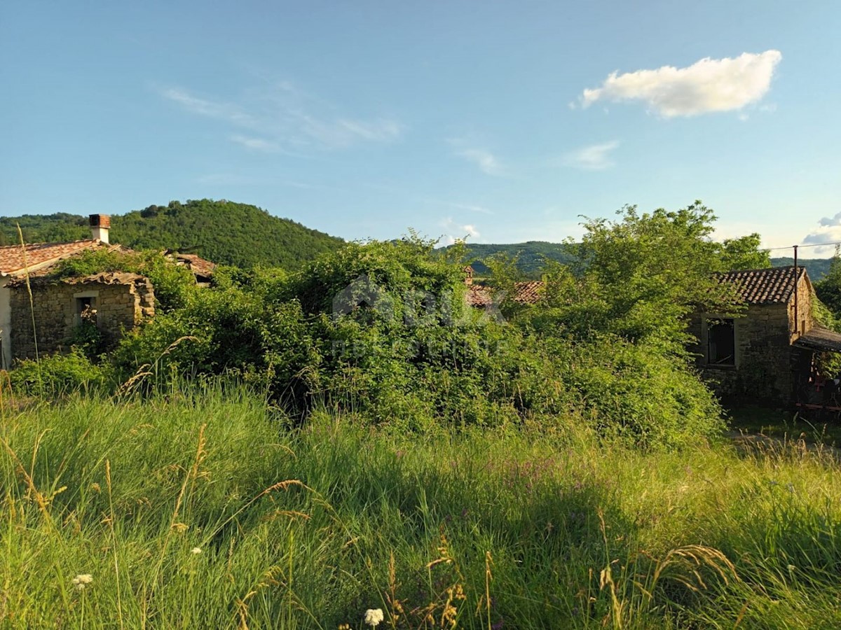 ISTRIA, BUZET - Complesso di case in pietra immerse nella natura