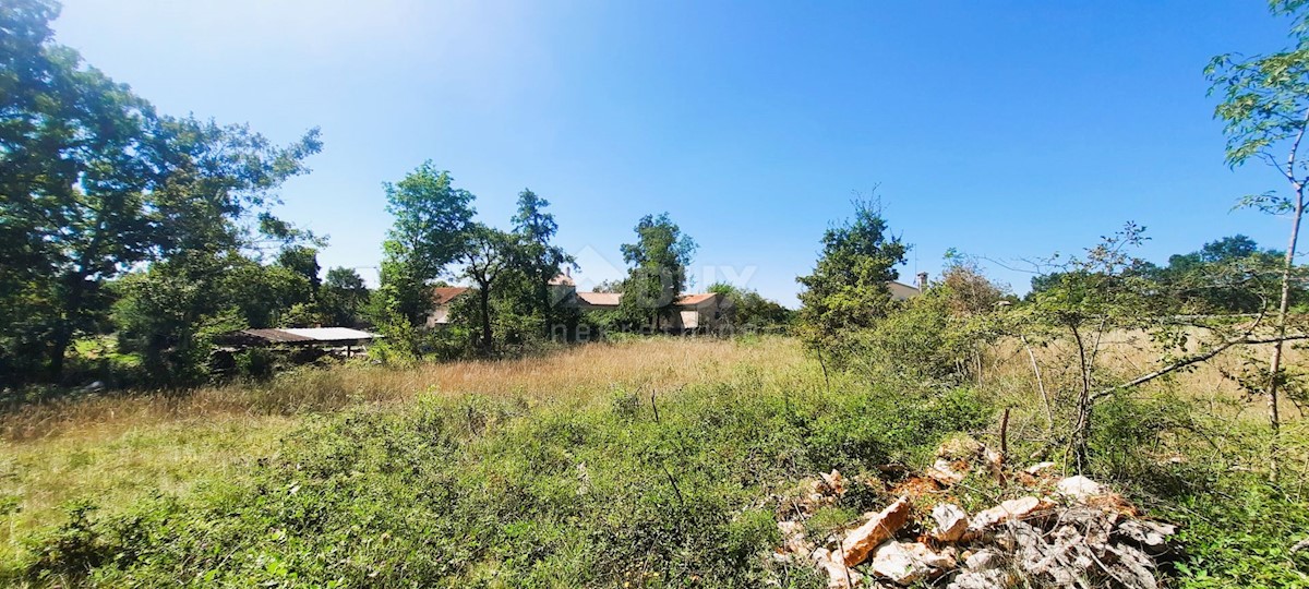 Terreno Završje, Grožnjan, 1.000m2