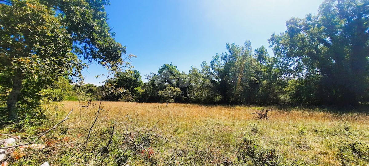 Terreno Završje, Grožnjan, 1.000m2