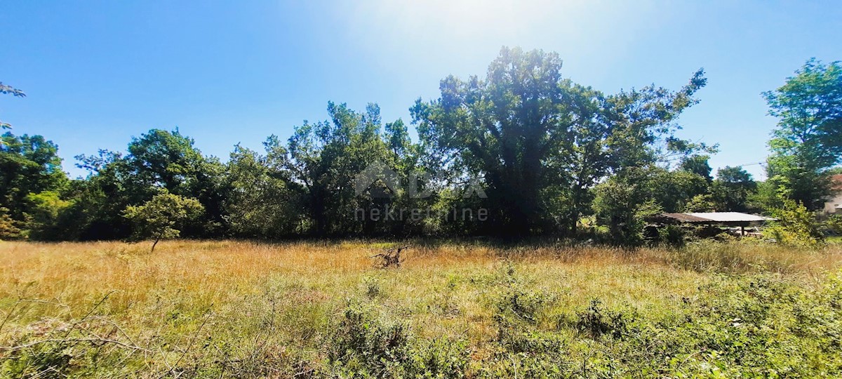 Terreno Završje, Grožnjan, 1.000m2