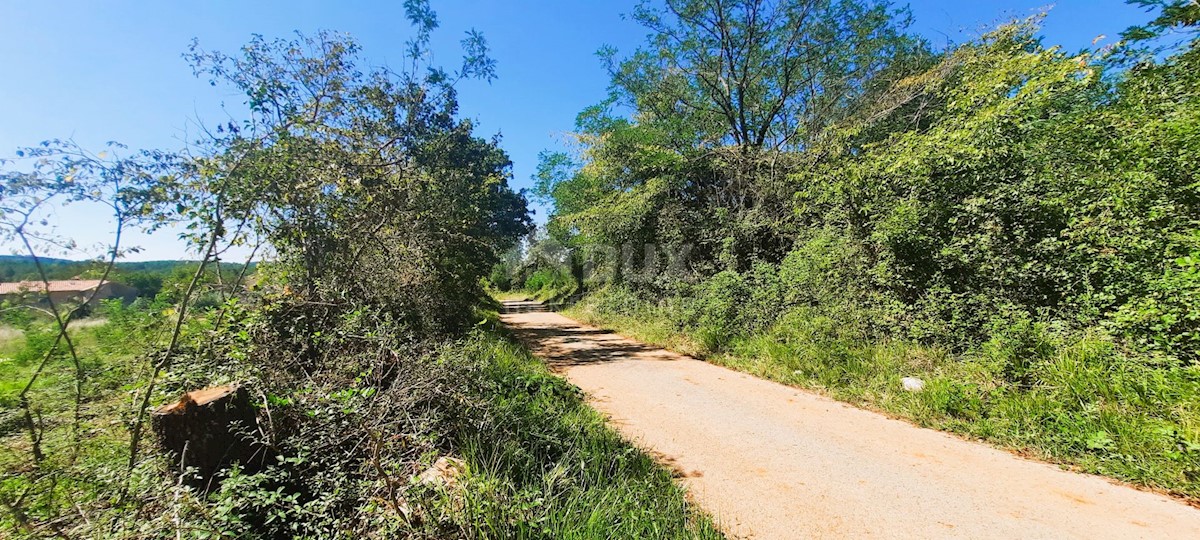 Terreno Završje, Grožnjan, 1.000m2