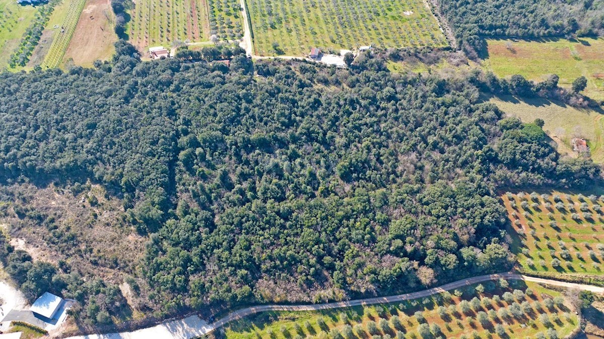 Terreno Rovinj, 18.940m2