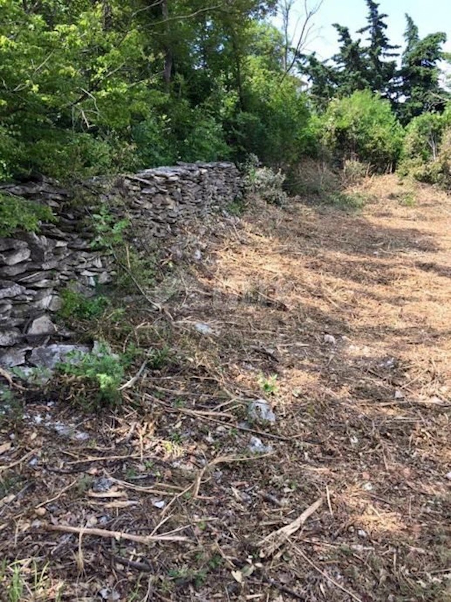 Terreno Labin, 2.936m2