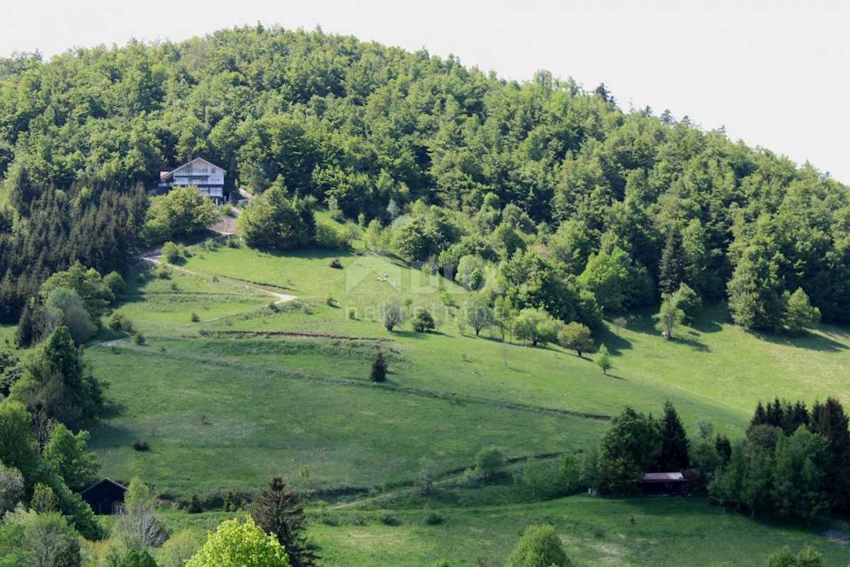 GORSKI KOTAR, CRNI LUG - Villa di lusso con giardino di 20.000 mq