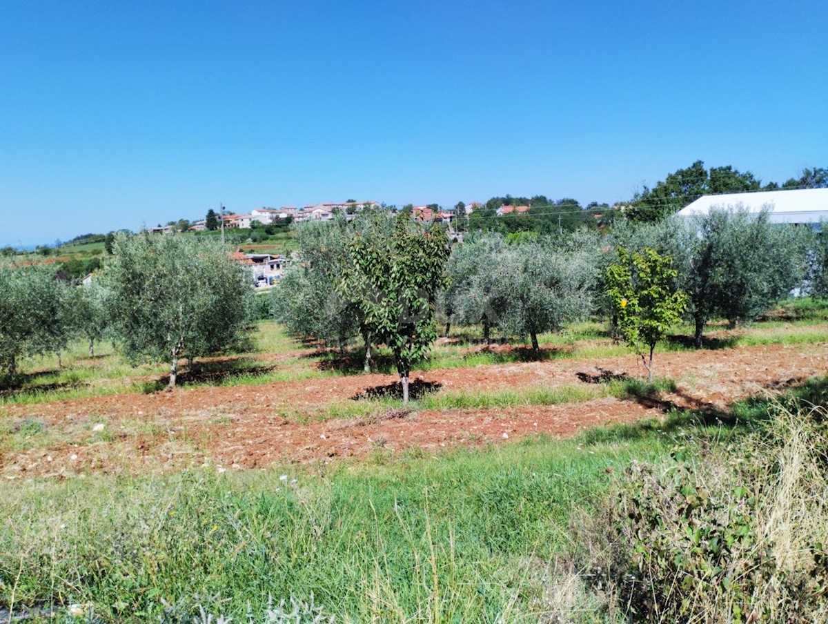 Terreno Vižinada, 2.800m2