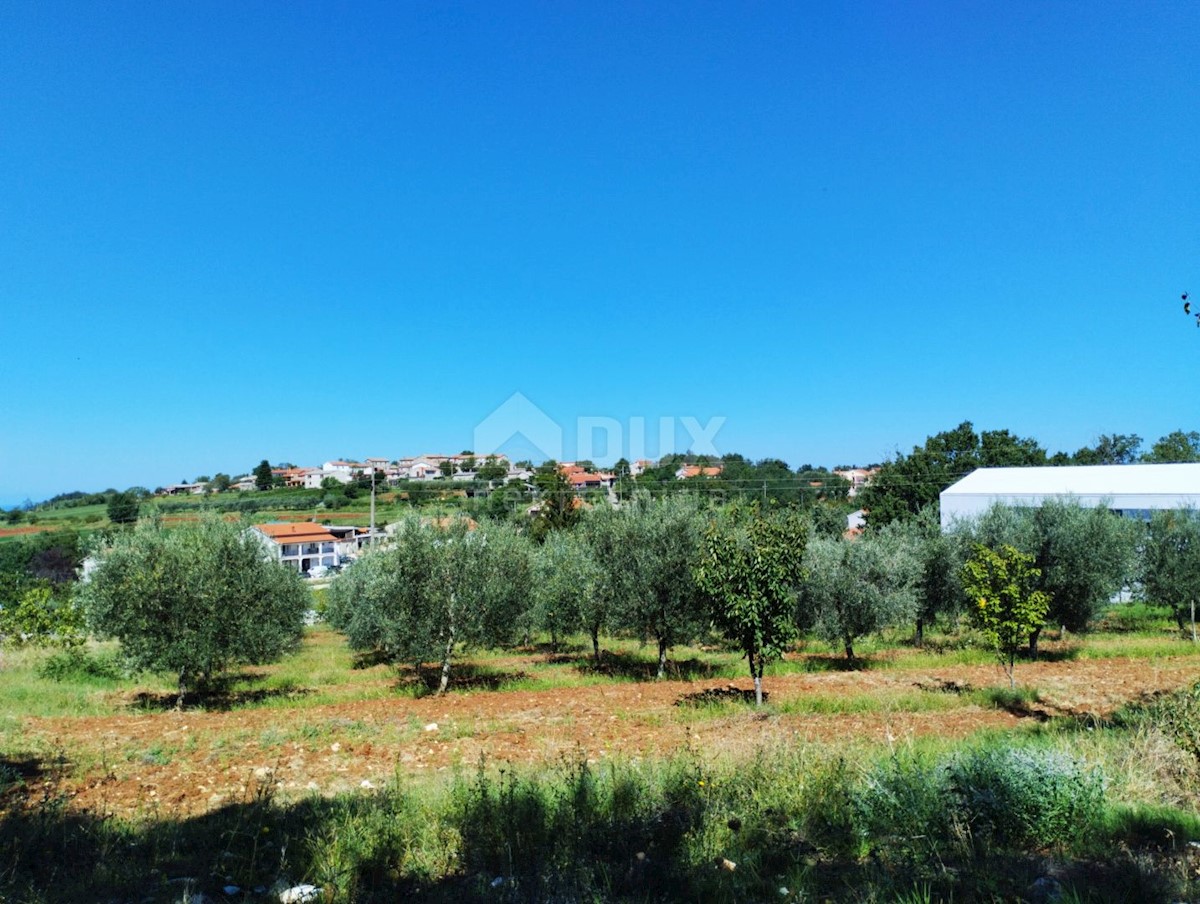 Terreno Vižinada, 2.800m2