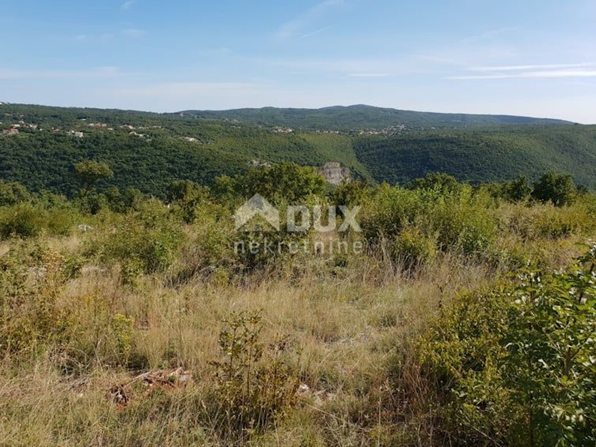 ISTRIA, ALBONA, ST. BARTUL - Lussuosa villa moderna con vista incantevole