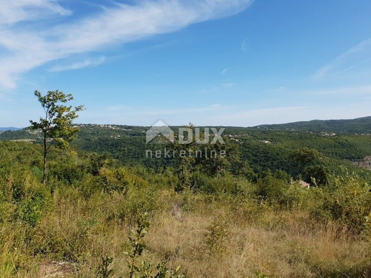 ISTRIA, ALBONA, ST. BARTUL - Lussuosa villa moderna con vista incantevole