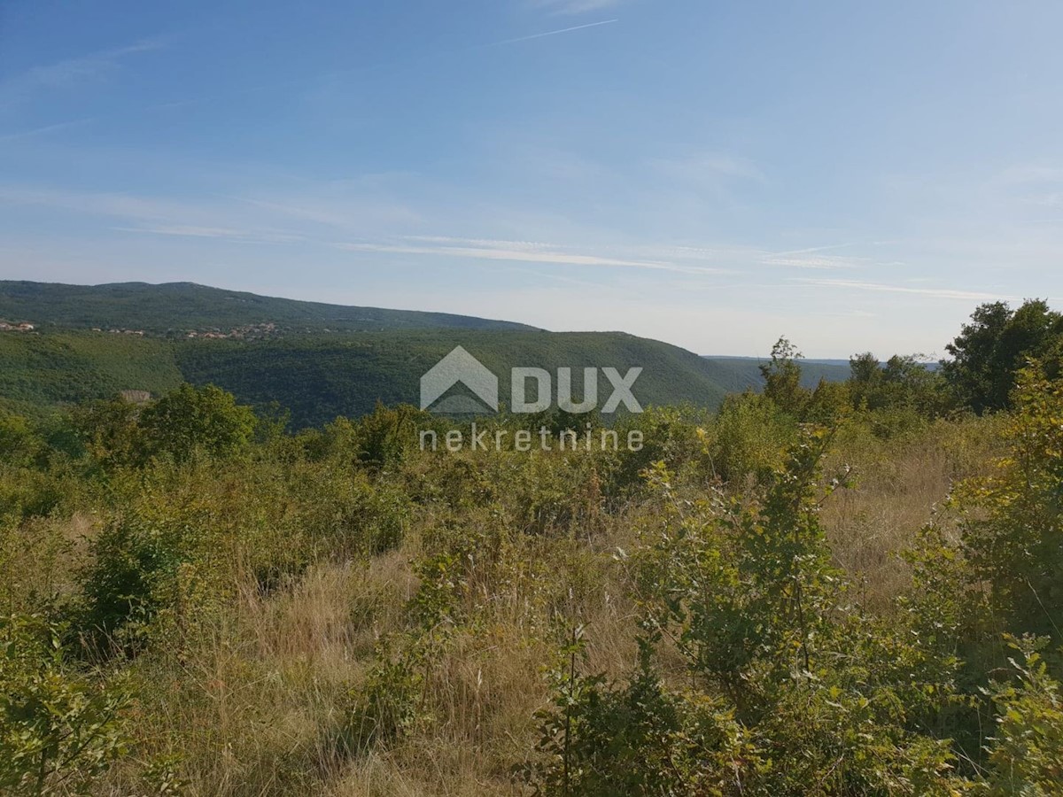 ISTRIA, ALBONA, ST. BARTUL - Lussuosa villa moderna con vista incantevole