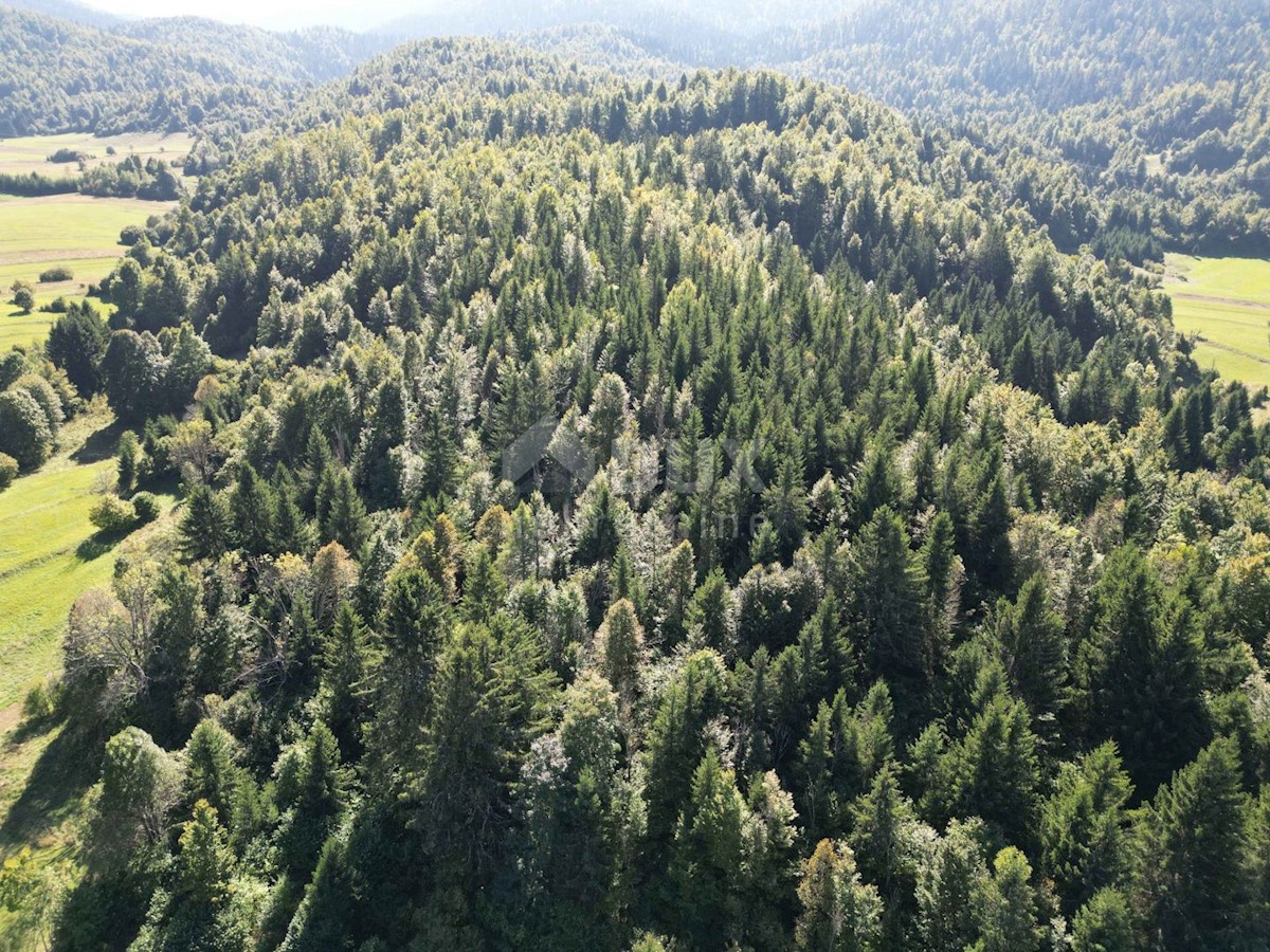 GORSKI KOTAR, SUNGER- vecchia casa + 2 annessi + ambiente 9000m2