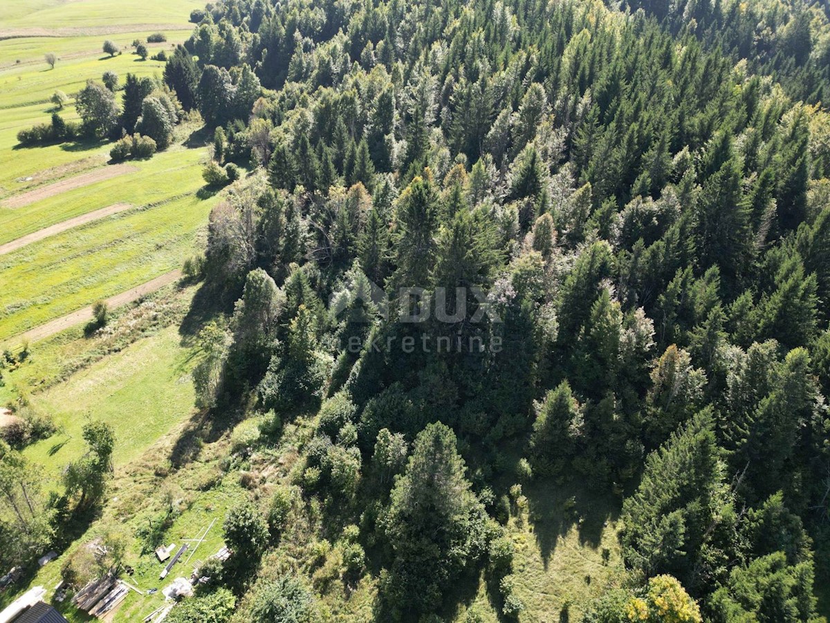 GORSKI KOTAR, SUNGER- vecchia casa + 2 annessi + ambiente 9000m2