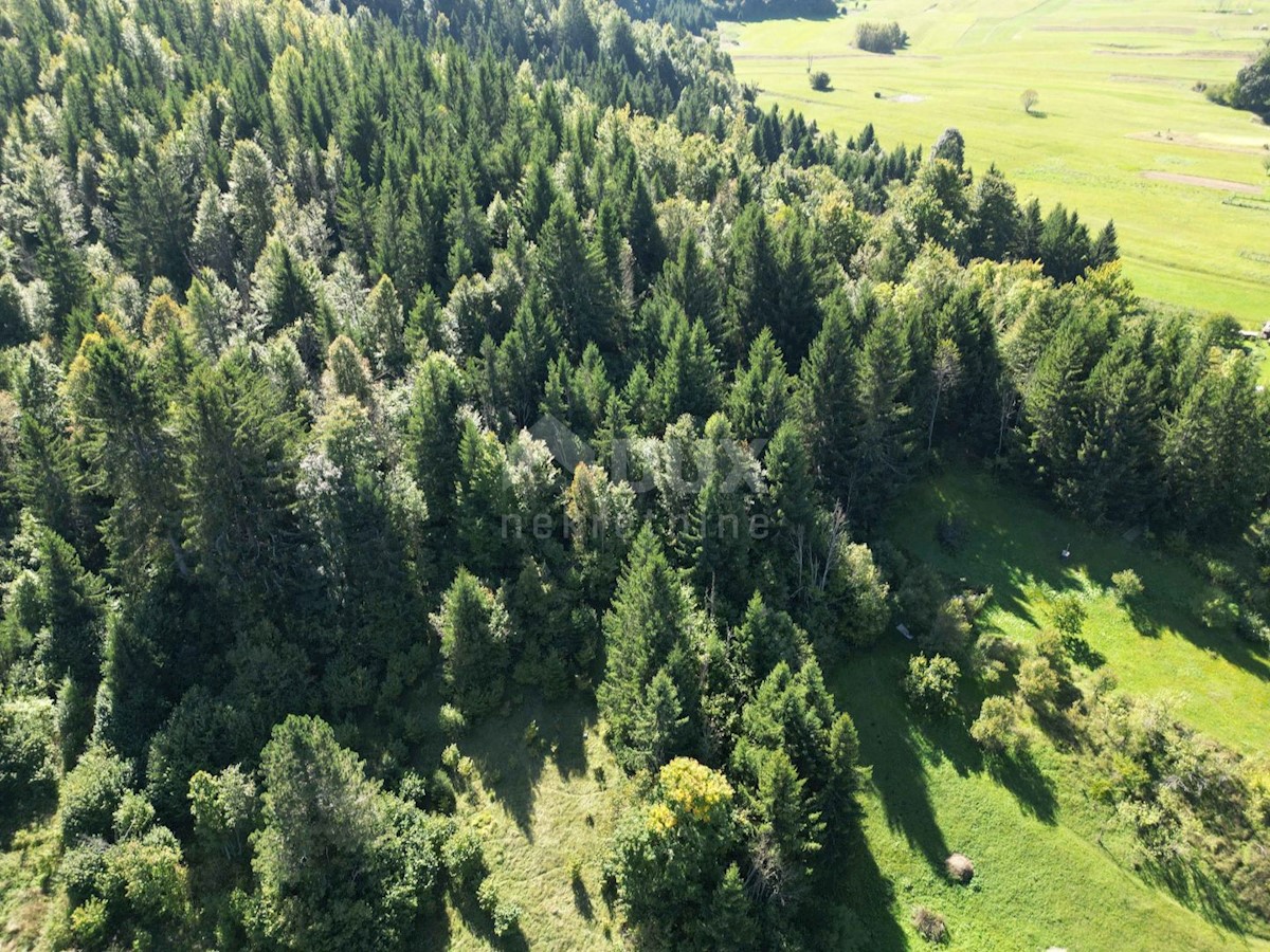 GORSKI KOTAR, SUNGER- vecchia casa + 2 annessi + ambiente 9000m2