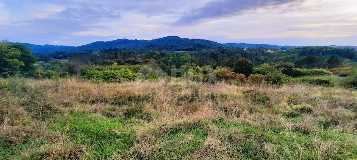 Terreno Stari Pazin, Pazin, 4.142m2