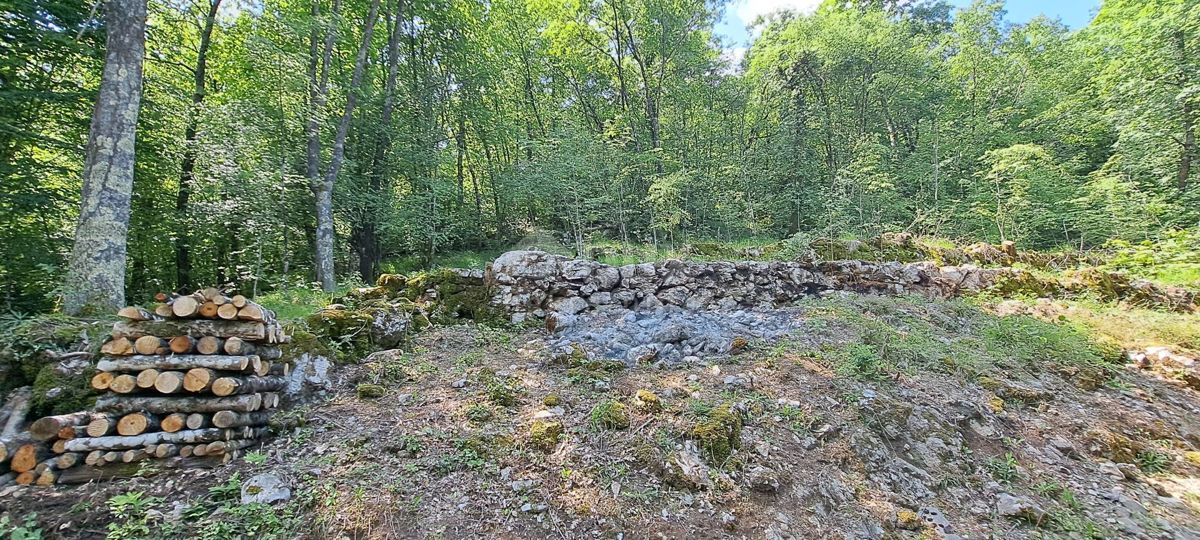 Terreno Zvoneća, Matulji, 5.300m2