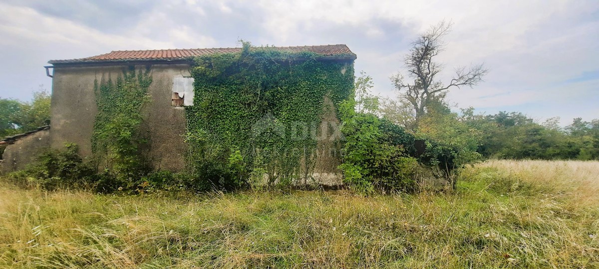 Casa Žminj, 150m2