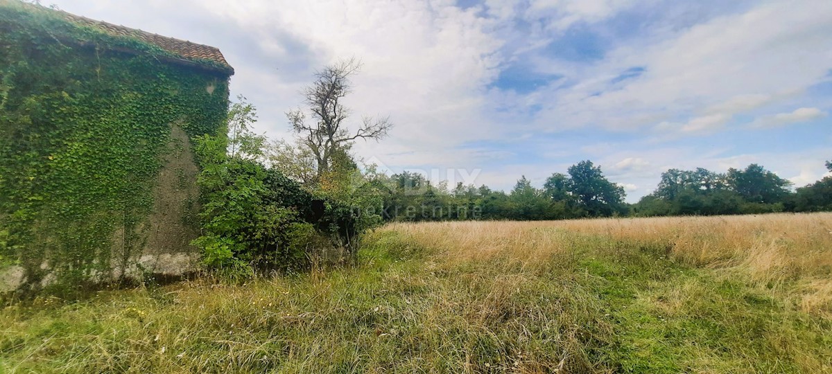Casa Žminj, 150m2