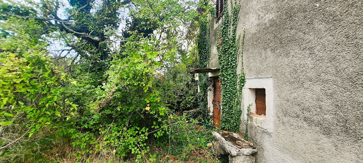 Casa Žminj, 150m2