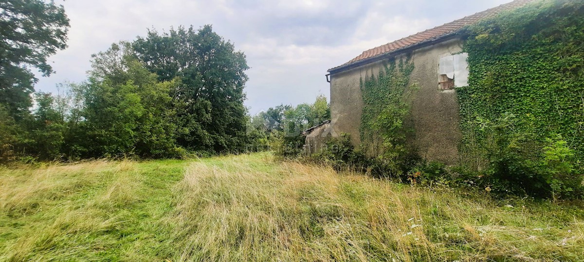 Casa Žminj, 150m2