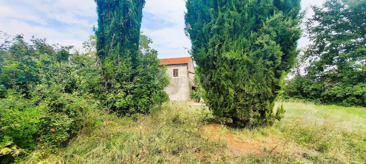 Casa Žminj, 150m2