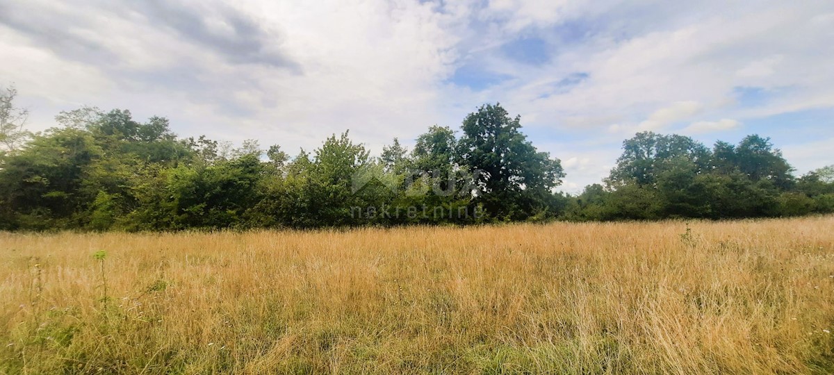 Casa Žminj, 150m2