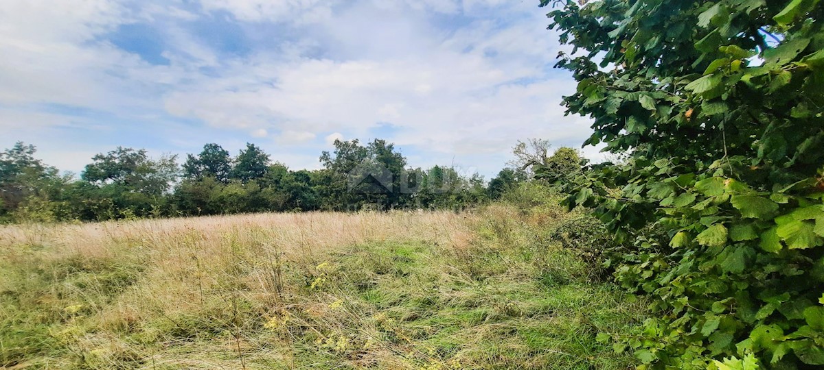 Casa Žminj, 150m2