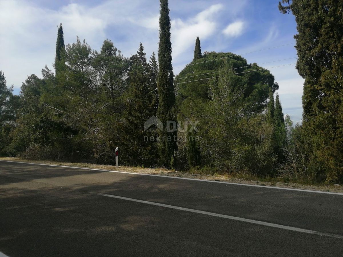 ISOLA DI PAŠMAN, ŽDRELAC - Terreno edificabile di 3000 m2 vicino al mare