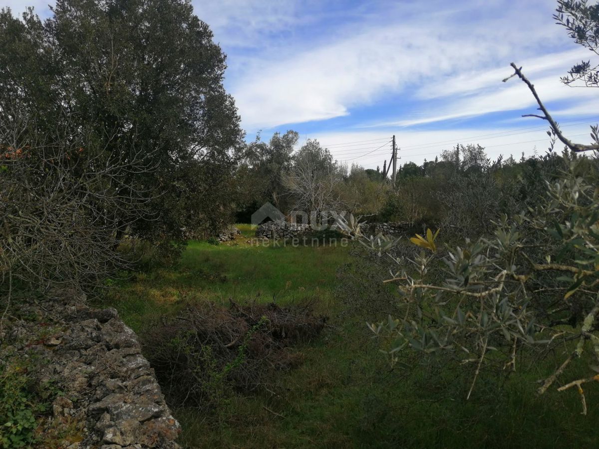 ISOLA DI PAŠMAN, ŽDRELAC - Terreno edificabile di 3000 m2 vicino al mare