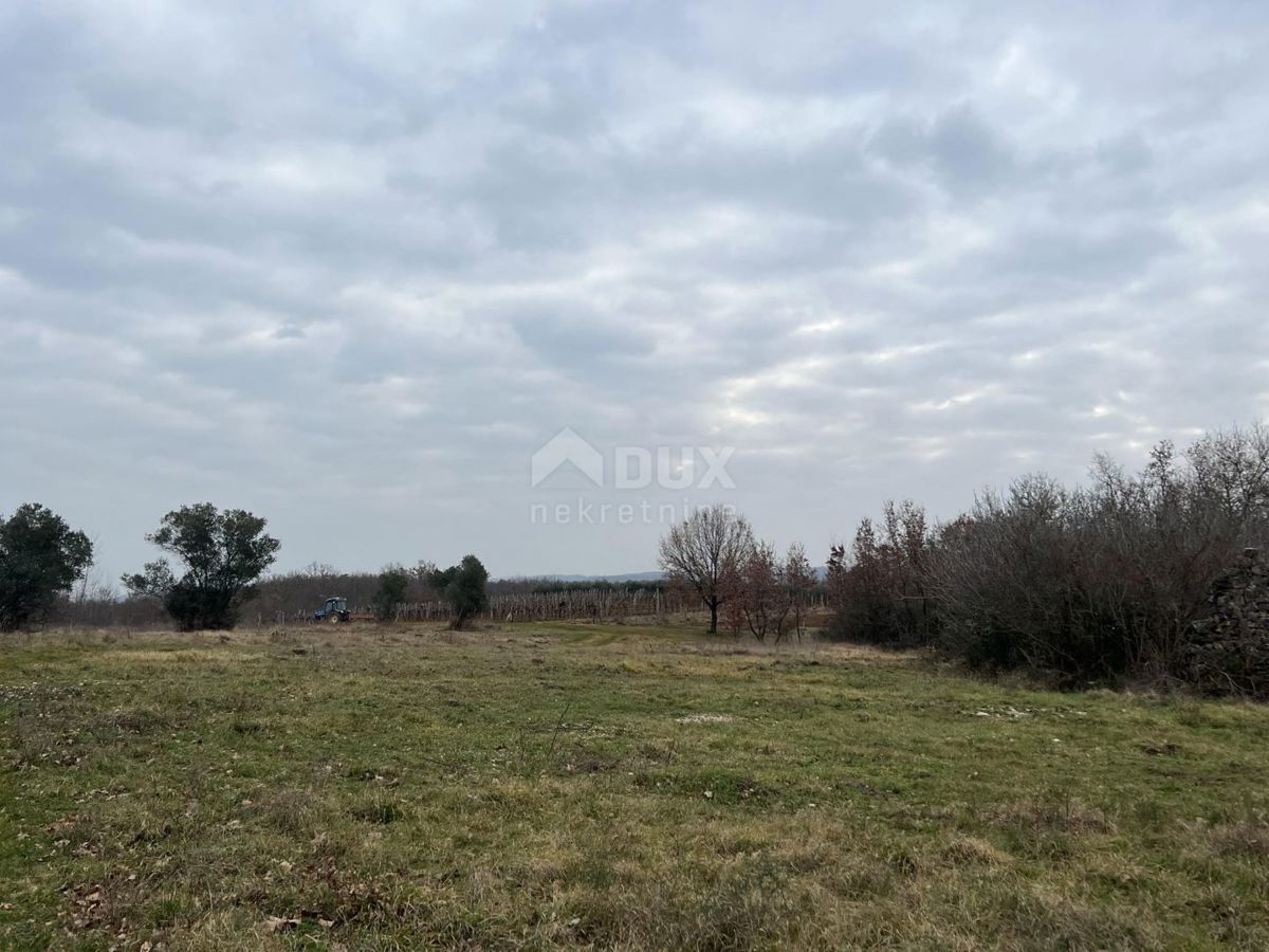 Terreno Brtonigla, 55.000m2