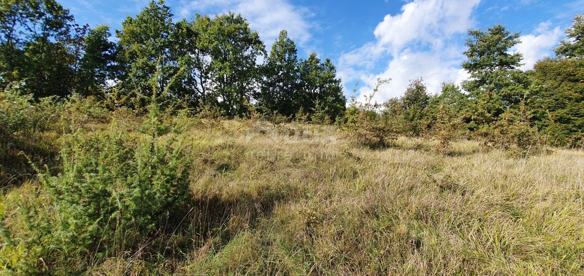 ISTRIA, GRAČIŠĆE - Proprietà 6880 m2 con casa in pietra in un tranquillo villaggio su una collina