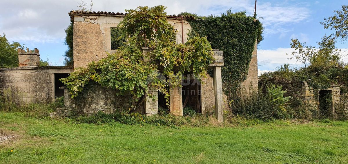 ISTRIA, GRAČIŠĆE - Proprietà 6880 m2 con casa in pietra in un tranquillo villaggio su una collina