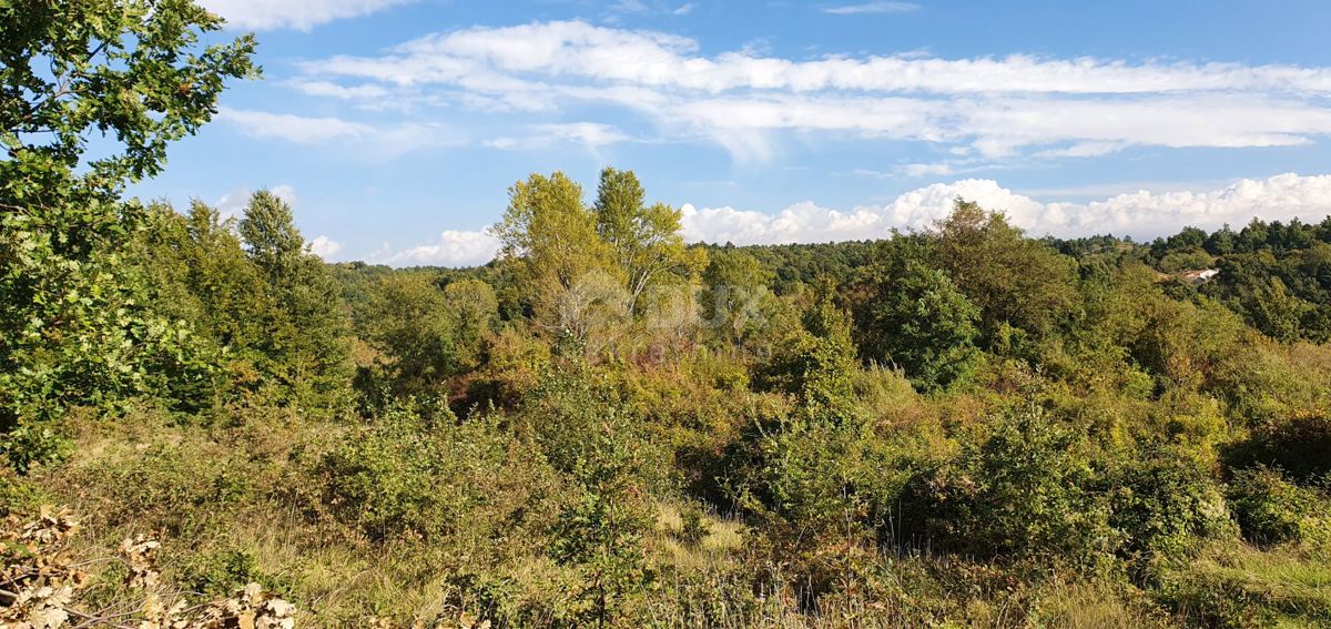 ISTRIA, GRAČIŠĆE - Proprietà 6880 m2 con casa in pietra in un tranquillo villaggio su una collina