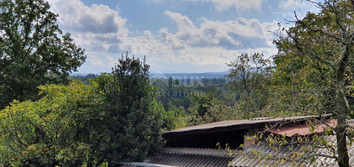 ISTRIA, GRAČIŠĆE - Proprietà 6880 m2 con casa in pietra in un tranquillo villaggio su una collina