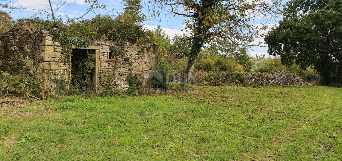 ISTRIA, GRAČIŠĆE - Proprietà 6880 m2 con casa in pietra in un tranquillo villaggio su una collina