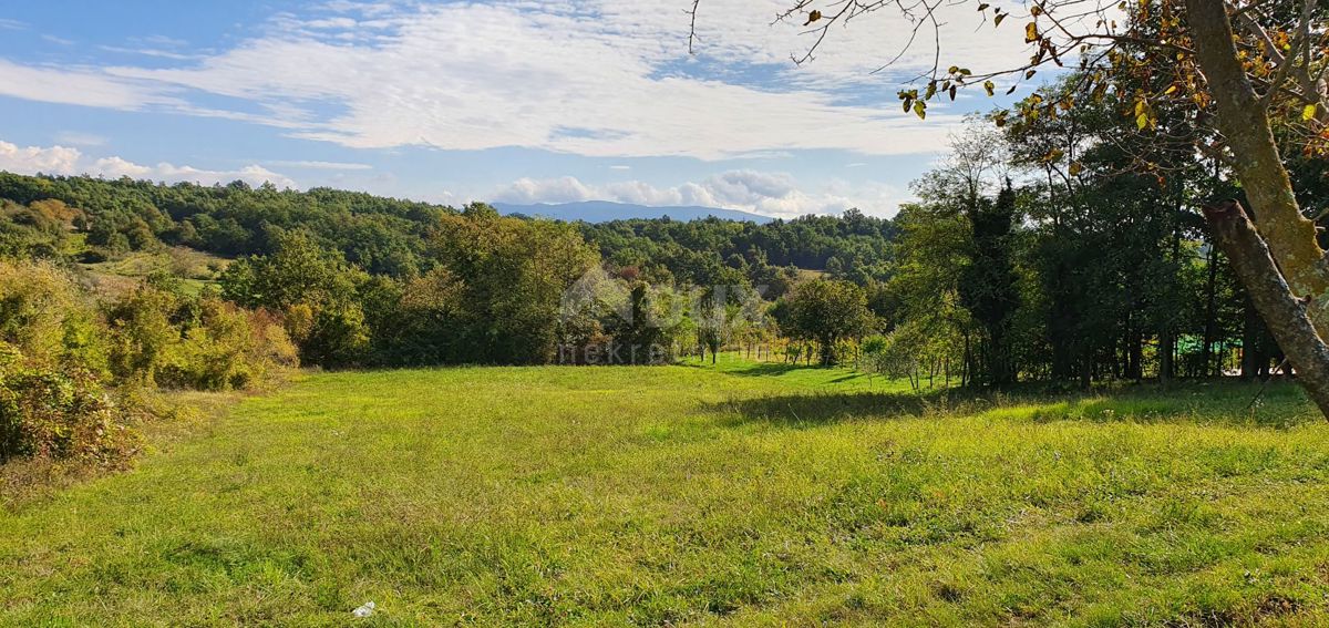 ISTRIA, GRAČIŠĆE - Proprietà 6880 m2 con casa in pietra in un tranquillo villaggio su una collina