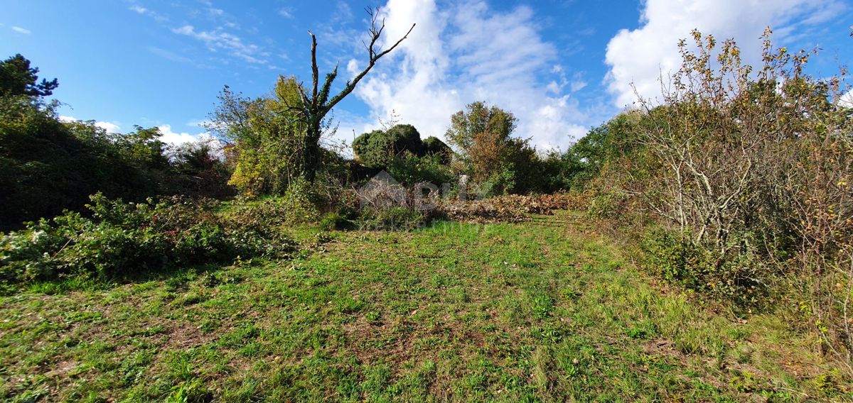 ISTRIA, GRAČIŠĆE - Proprietà 6880 m2 con casa in pietra in un tranquillo villaggio su una collina