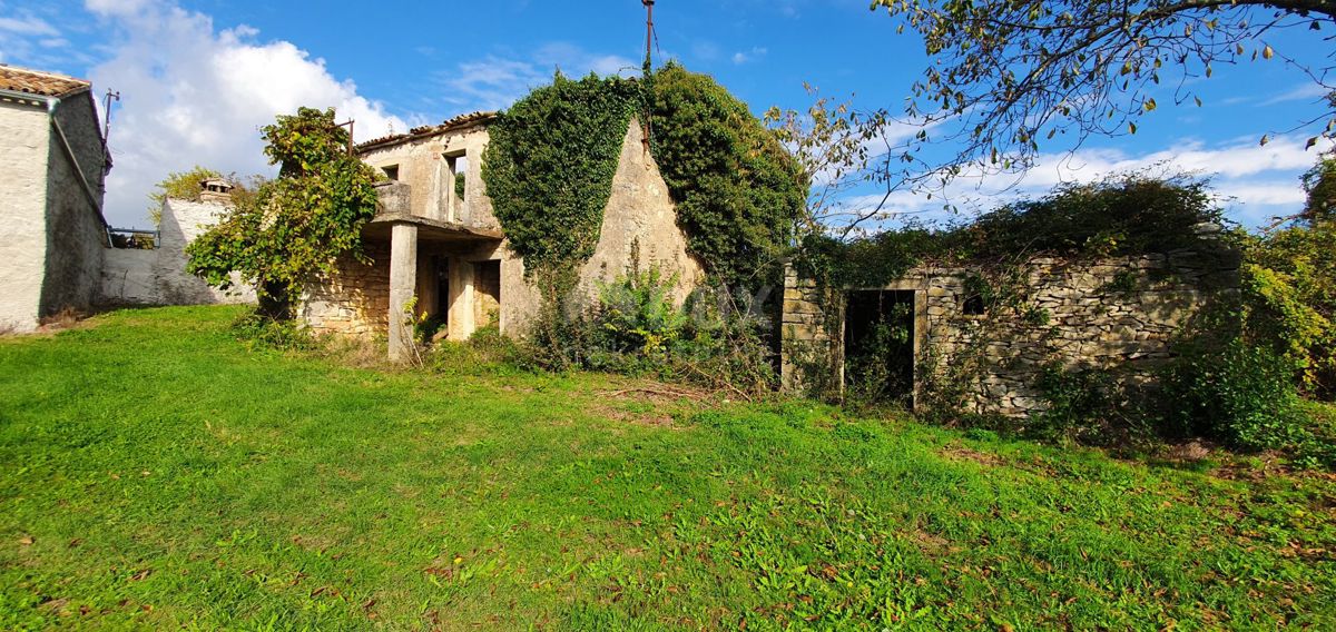 ISTRIA, GRAČIŠĆE - Proprietà 6880 m2 con casa in pietra in un tranquillo villaggio su una collina