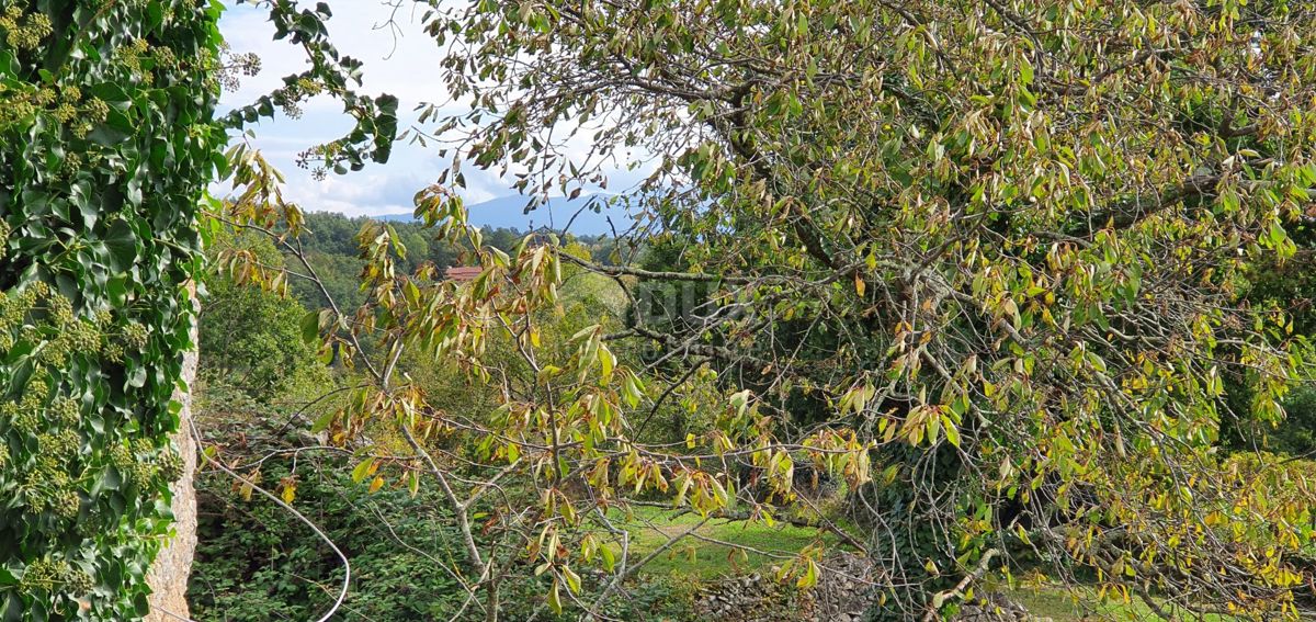 ISTRIA, GRAČIŠĆE - Proprietà 6880 m2 con casa in pietra in un tranquillo villaggio su una collina