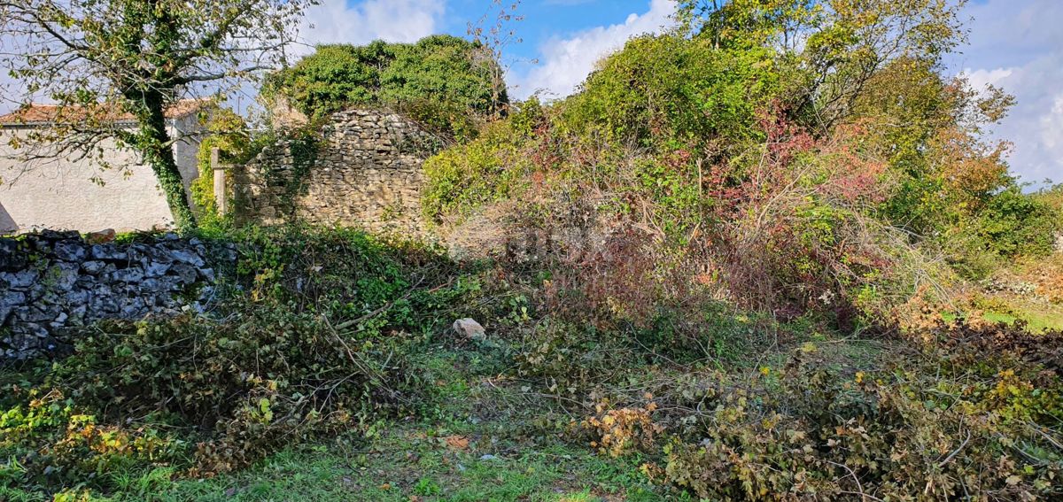 ISTRIA, GRAČIŠĆE - Proprietà 6880 m2 con casa in pietra in un tranquillo villaggio su una collina