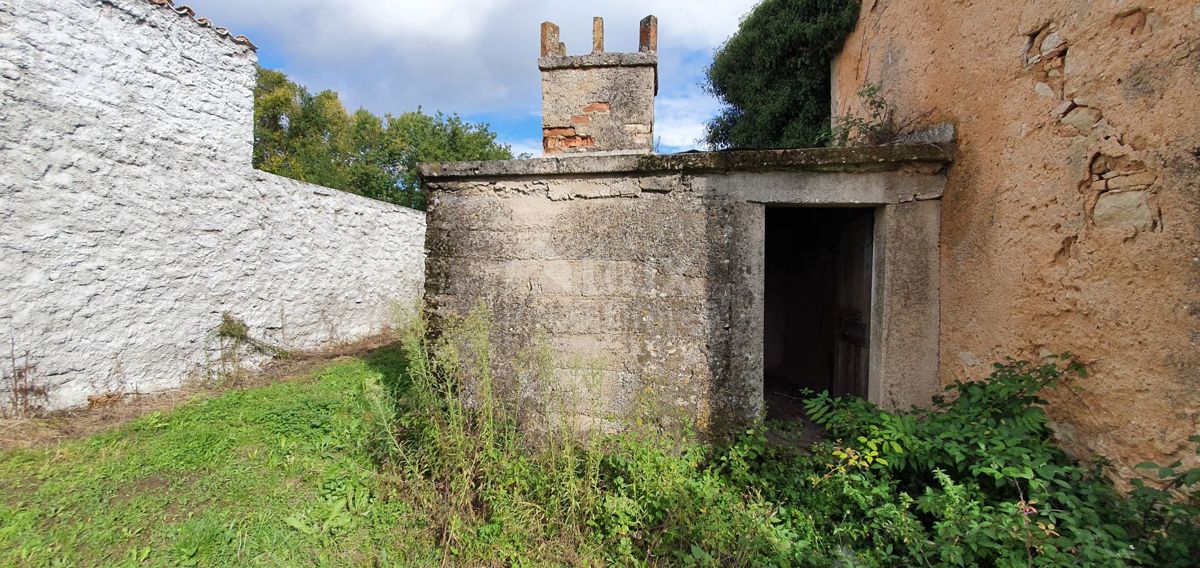 ISTRIA, GRAČIŠĆE - Proprietà 6880 m2 con casa in pietra in un tranquillo villaggio su una collina