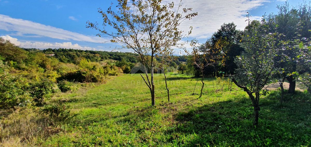 ISTRIA, GRAČIŠĆE - Proprietà 6880 m2 con casa in pietra in un tranquillo villaggio su una collina