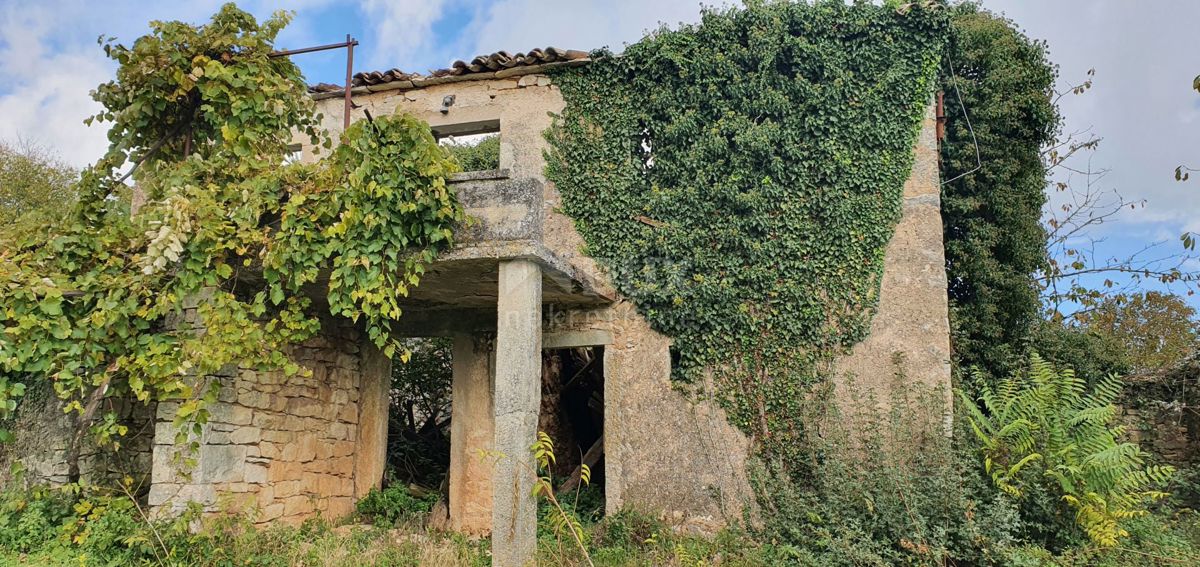 ISTRIA, GRAČIŠĆE - Proprietà 6880 m2 con casa in pietra in un tranquillo villaggio su una collina