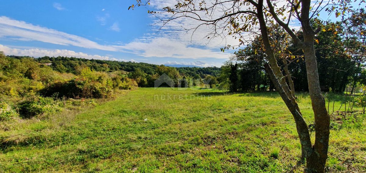 ISTRIA, GRAČIŠĆE - Proprietà 6880 m2 con casa in pietra in un tranquillo villaggio su una collina