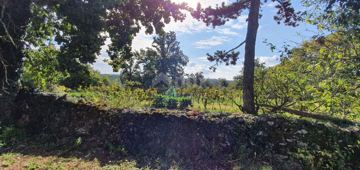 ISTRIA, GRAČIŠĆE - Proprietà 6880 m2 con casa in pietra in un tranquillo villaggio su una collina